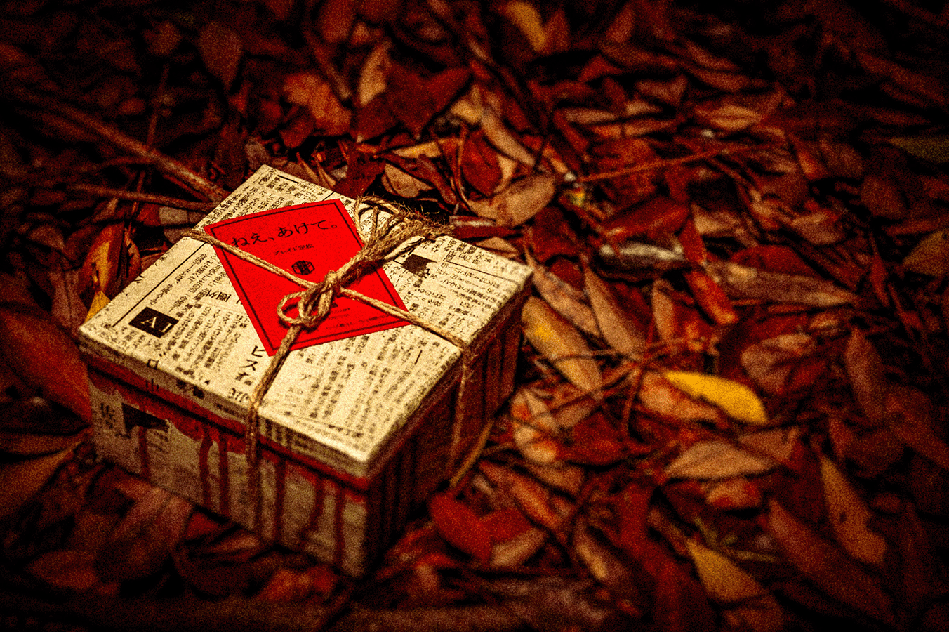 ねえ、あけて。